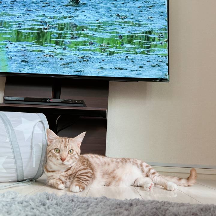 20480278 4f9f 496b 88a4 d066e5023e92 1656802294276