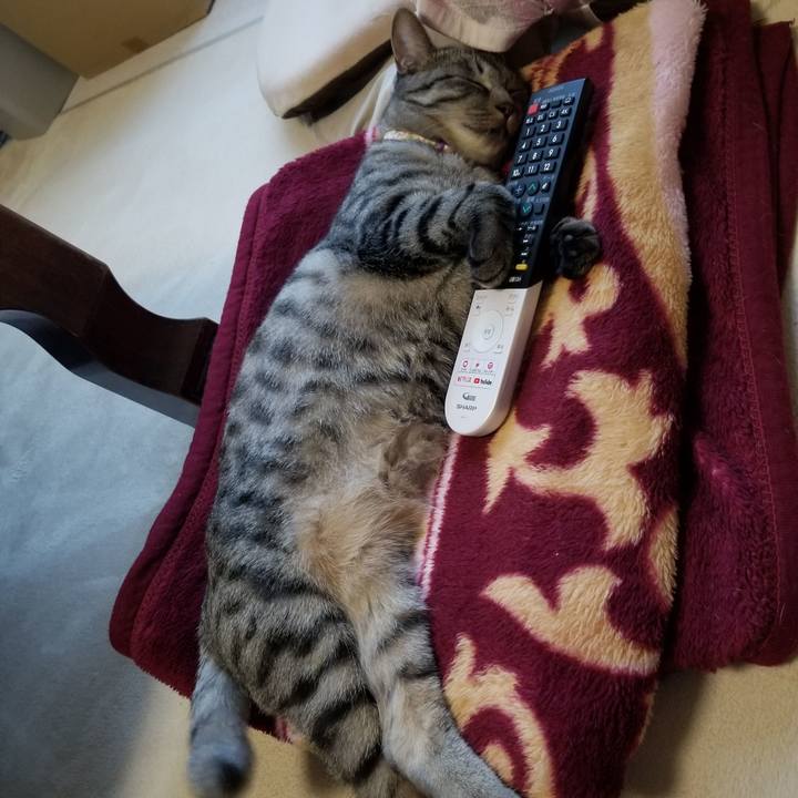 20481aa5 fb46 415a b045 31ed30a150e8 1684419905709