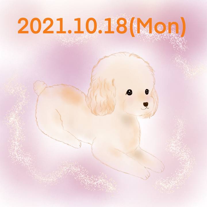 204846c8 25fa 4bcd 8143 5d698d23bd4e 1634558157657