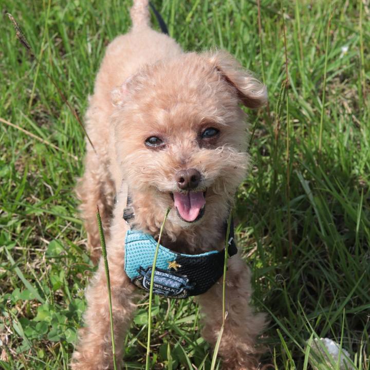 20487f0c 6af1 4771 b038 ce18082a815a 1624675849504