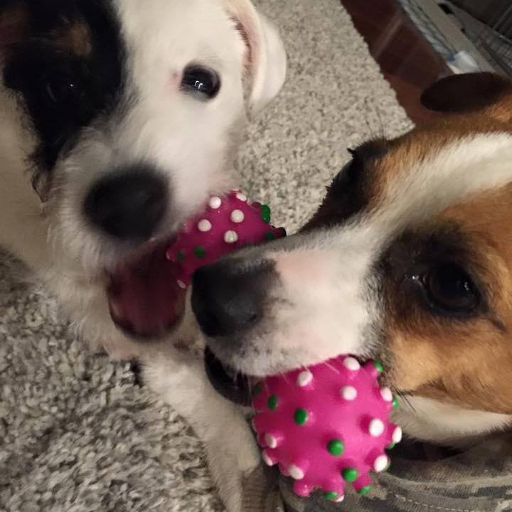 2048ad4a f0a1 4afb ab44 c1b24adc2ae9 1618441253575