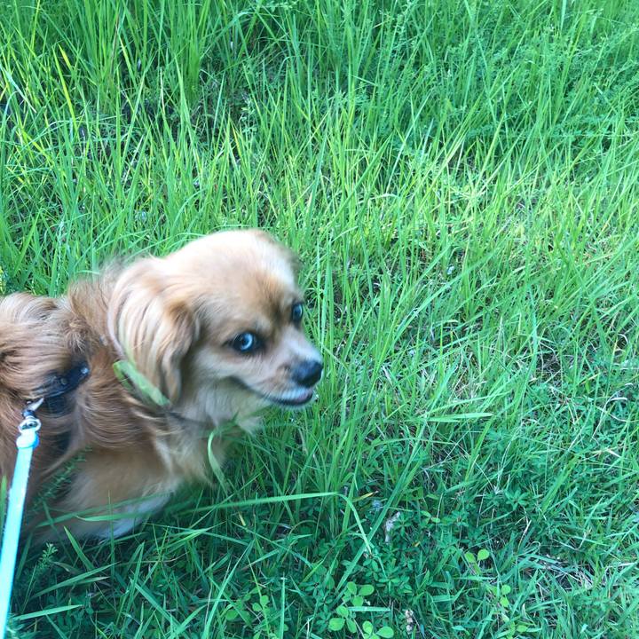 2048d3e0 9301 4375 8161 9af7902d6974 1564964488460