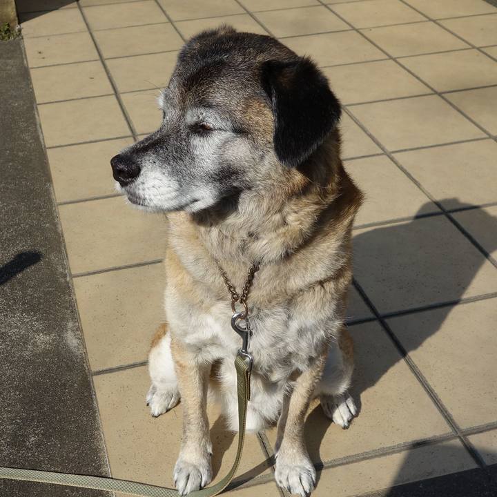 2048da20 9a6f 4bb3 a1f6 be2ea3dd12fc 1659917677720