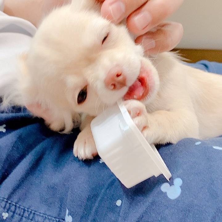 2048f9b7 36d3 40da 963c 7a533a8f492c 1592739218621