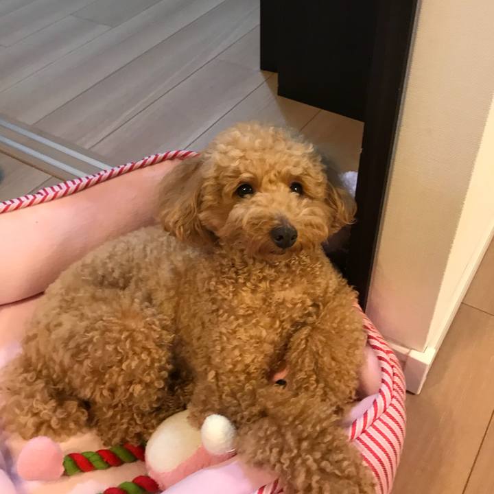 2048fa4c a8d8 4b1d b5de ba5cdf7b153a 1509115400313