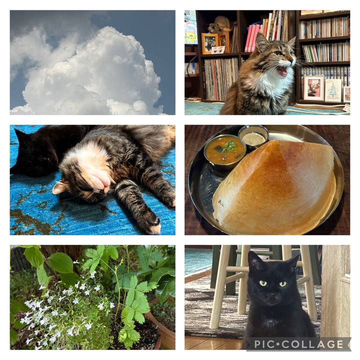 20494e16 508f 4369 a4c0 fa9174f3409b 1756531379523