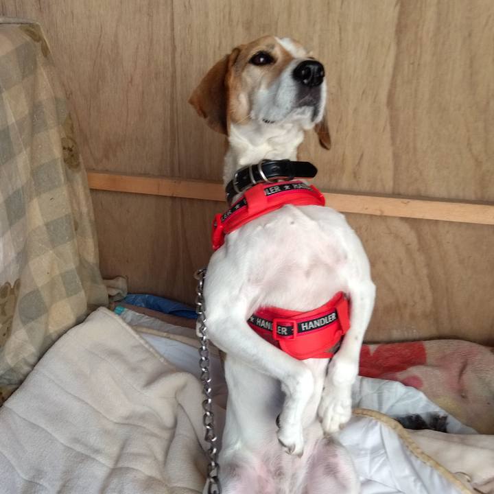 20496bfb bbc6 4794 b8cb 74038f66bbc2 1700136515689