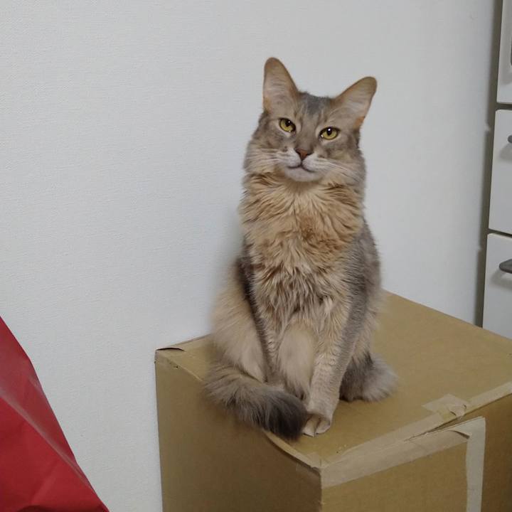 2049a07f c67d 47a1 9be8 c977394b7f01 1614161021360