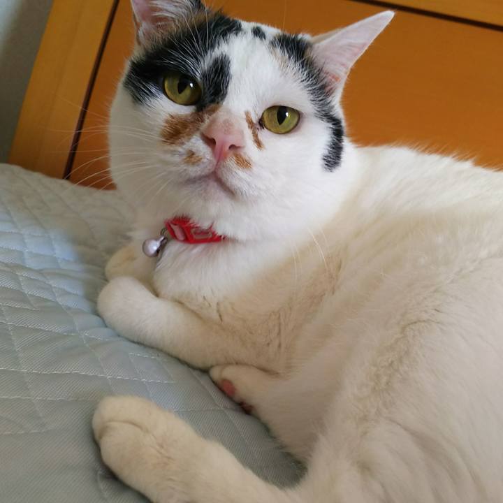 2049bf23 48ab 49f8 8f32 81342d0775bb 1532046333278