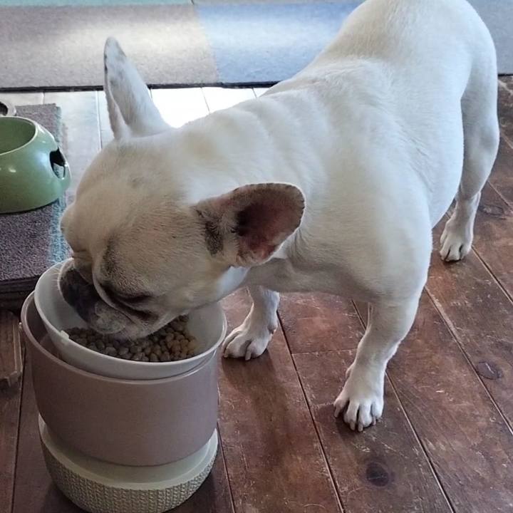 2049f1d0 75b6 4e5c 9e9a 3bbba9016719 1685226630792