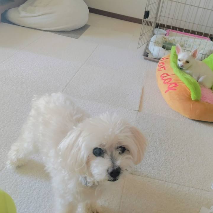 2049fd4d a46d 4f63 bfdf d3bff9eaa117 1724213277661