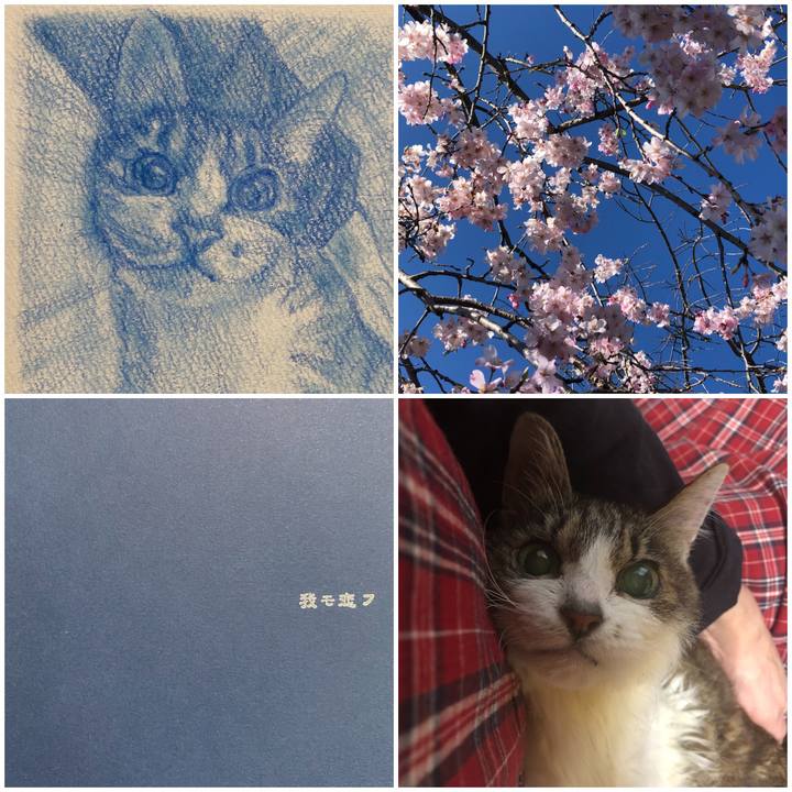 2049fd92 8c19 4bba b740 6b83b869877e 1617514570452