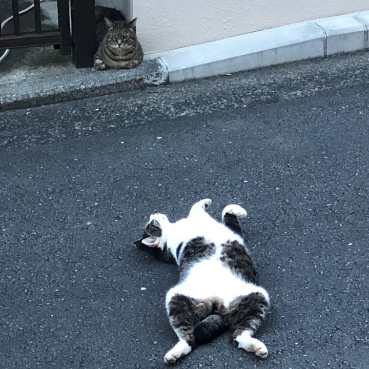 204a236e ce87 4c7f 9060 2fd44f3c192d 1596714143404