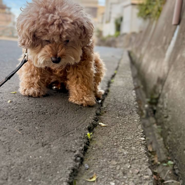 204a28d1 fd4b 44ea 9a22 d47c58ce2491 1764026688008