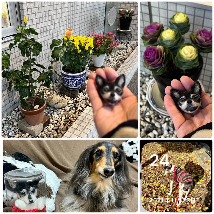 204a7ac4 e4c1 4c68 a26e ad30382b9895 1669239979632