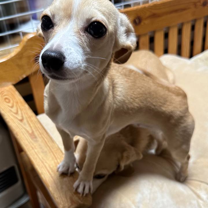 204aa846 7ef1 4abd b975 0c82f8c11d34 1678444375761