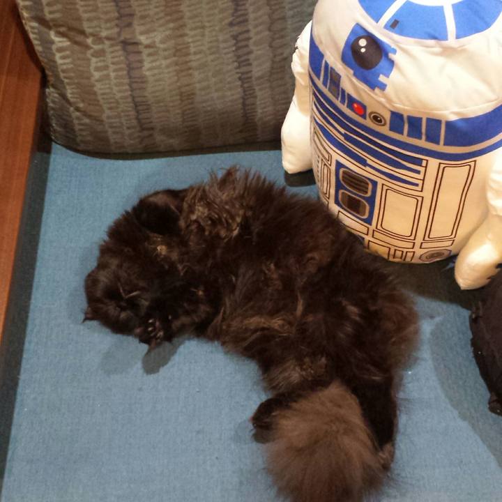 204ac019 4d2d 4f27 9ed1 2791284b534a 1514288912462