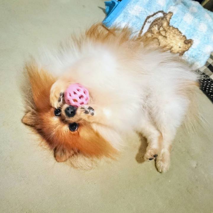 204ad6d6 4b7a 47f4 92f0 2293fc95e800 1759097216771