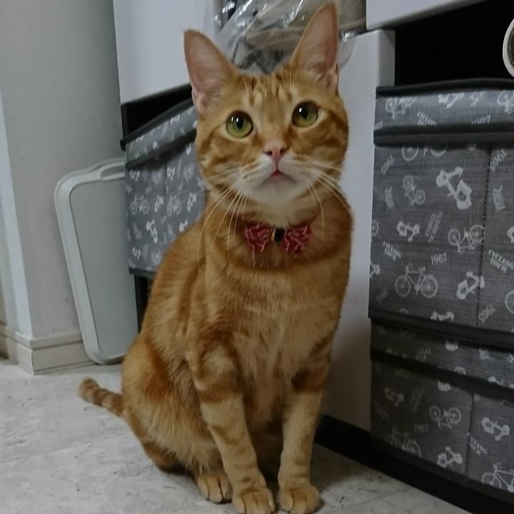 204ae940 7879 4dec aae6 c1f17913f773 1516281906865