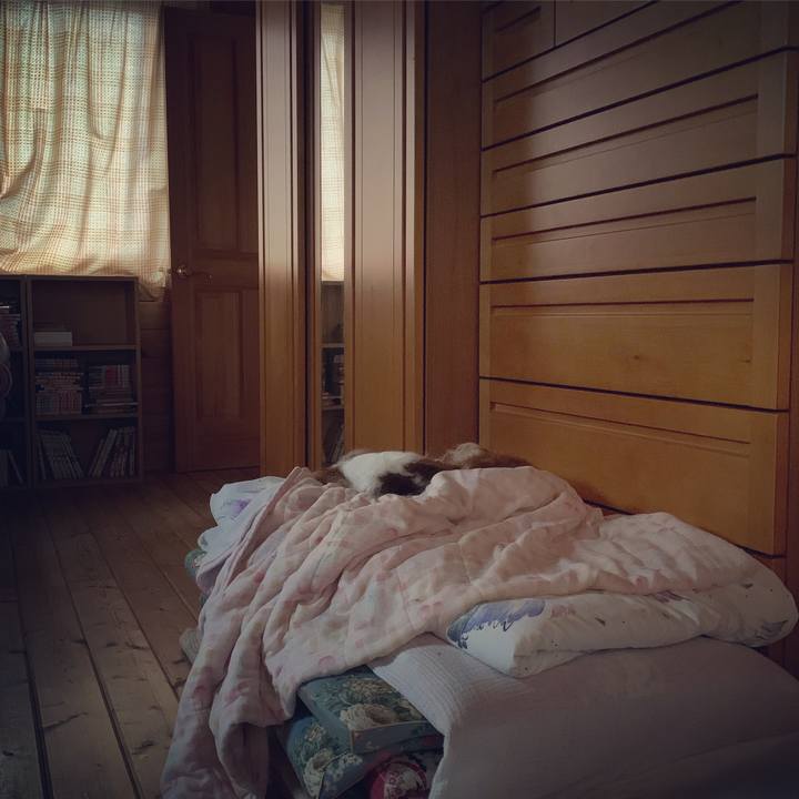 204afa21 ad97 41dc 917b 24a4df252f41 1575516693968