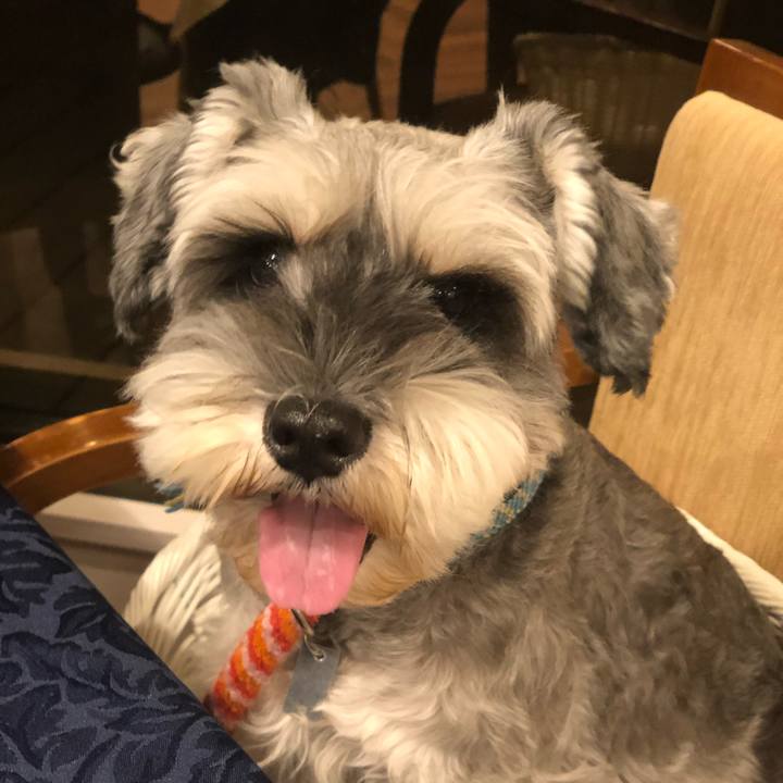 204afc9c 95e9 4df2 9e62 dda77b1ccf5b 1572081331557