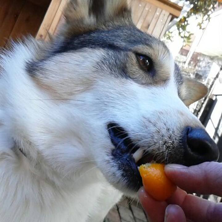 204b4dd8 bc5b 4e1d bd3e d4b600048608 1518183536317