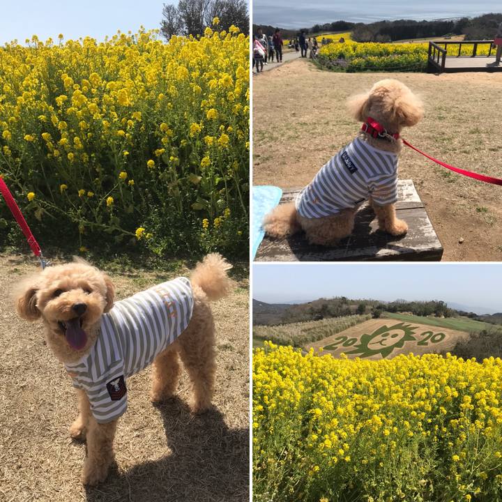 204b59f9 a12a 4a0b 90bf faaed696e535 1584865272637