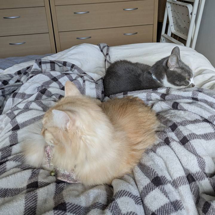 204b8363 361c 40c3 a87a 6dbc3b0ad313 1761263834942