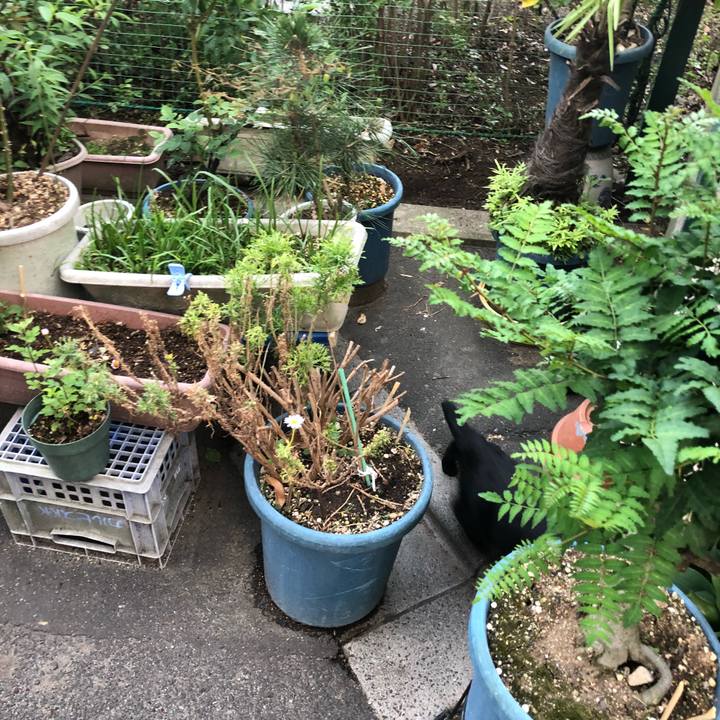 204b996b 6939 492c a691 c66ce4c38c5d 1525169622200