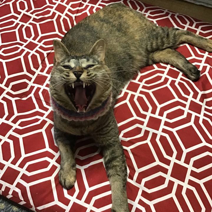 204bbf2d 2065 48a2 bc6a d37a2c31f8a1 1625901884673