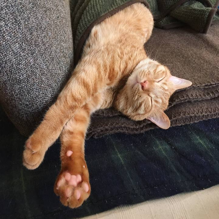 204bc081 d1fe 4ce9 ae87 04a1aca92926 1527721516988