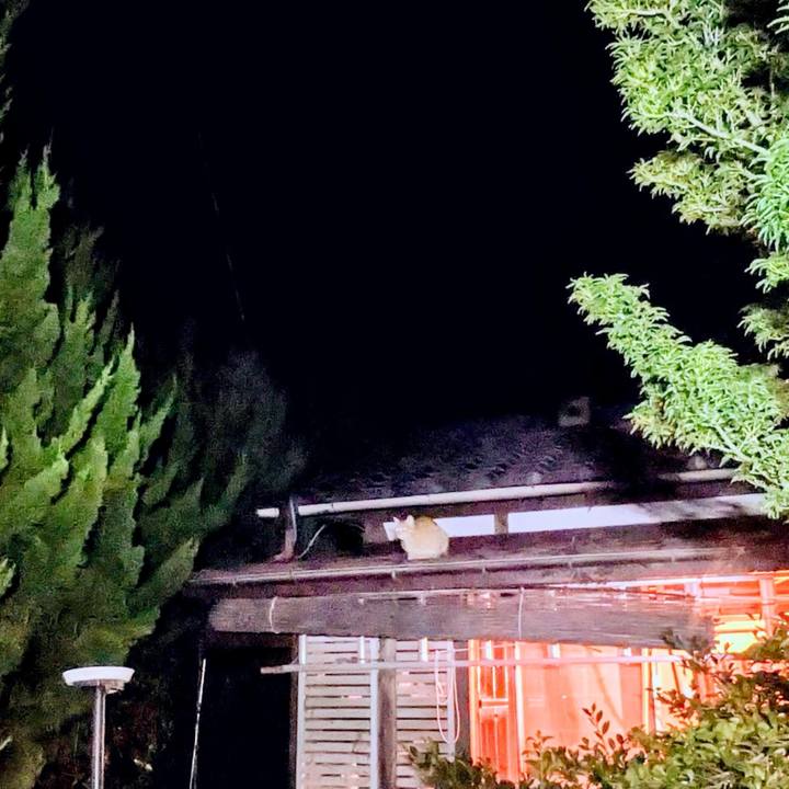 204bd6e8 9526 47d0 a8d8 a9c9010cf8e7 1758538029952