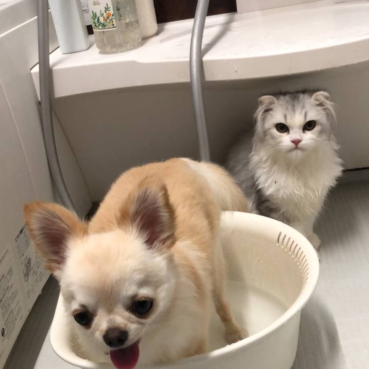 204bf0c3 cc3a 44b8 9e7a 675b2d2f737d 1598572697049