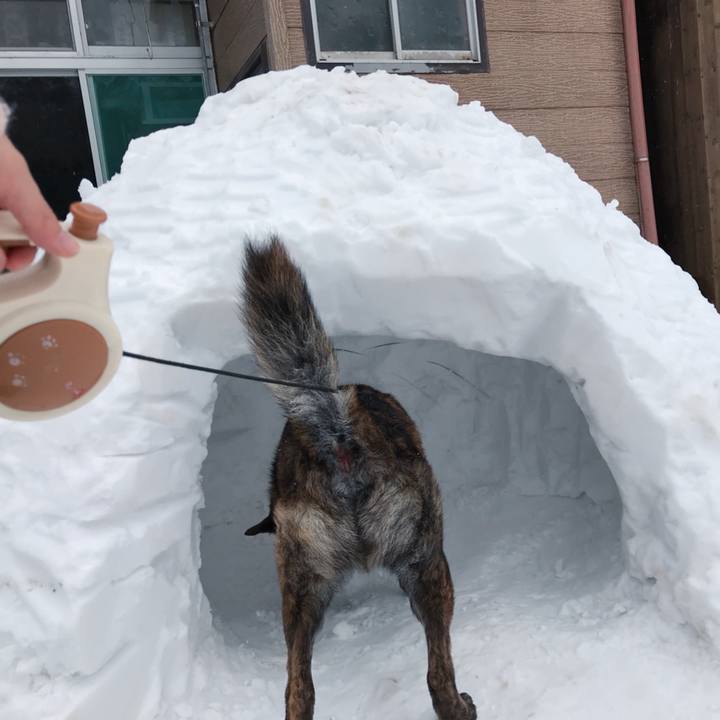 204bf26a b548 4053 b138 75146af90a5b 1517144159845