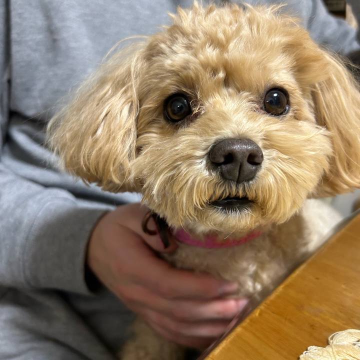 204c0237 efc5 4dc3 98ac 382ae8ef3c59 1734000506527