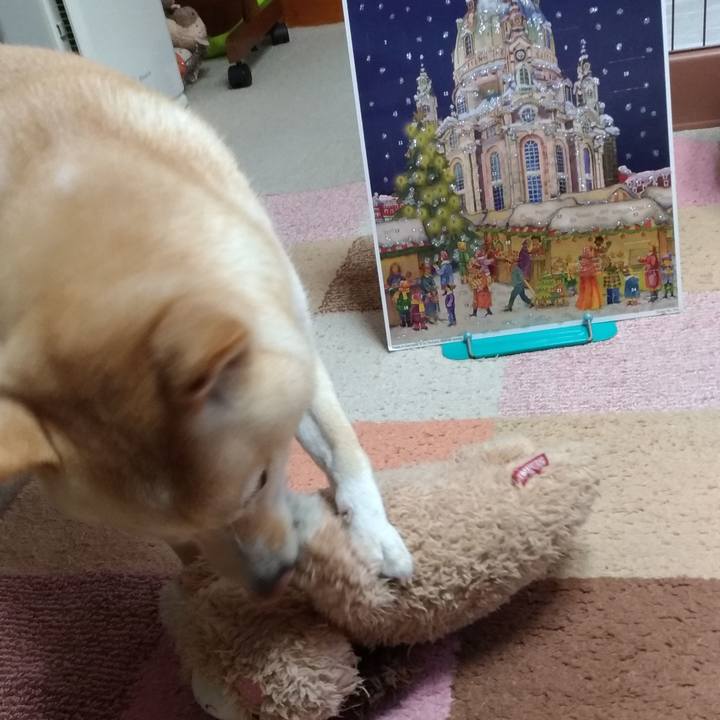 204c095b 335b 469f b702 14cfc1708710 1606823118802