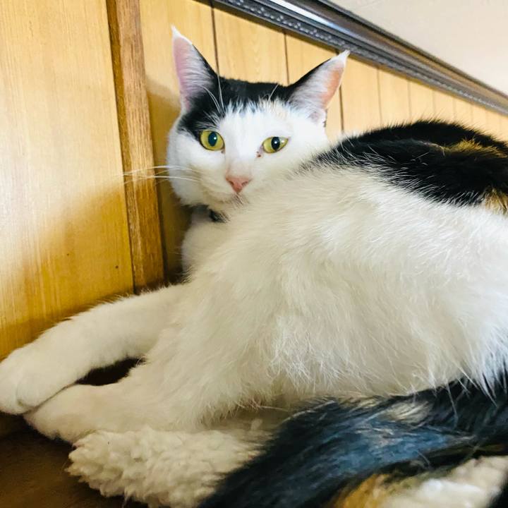 204c0f7b bbe9 4665 b84f 0903592699a8 1679092142314