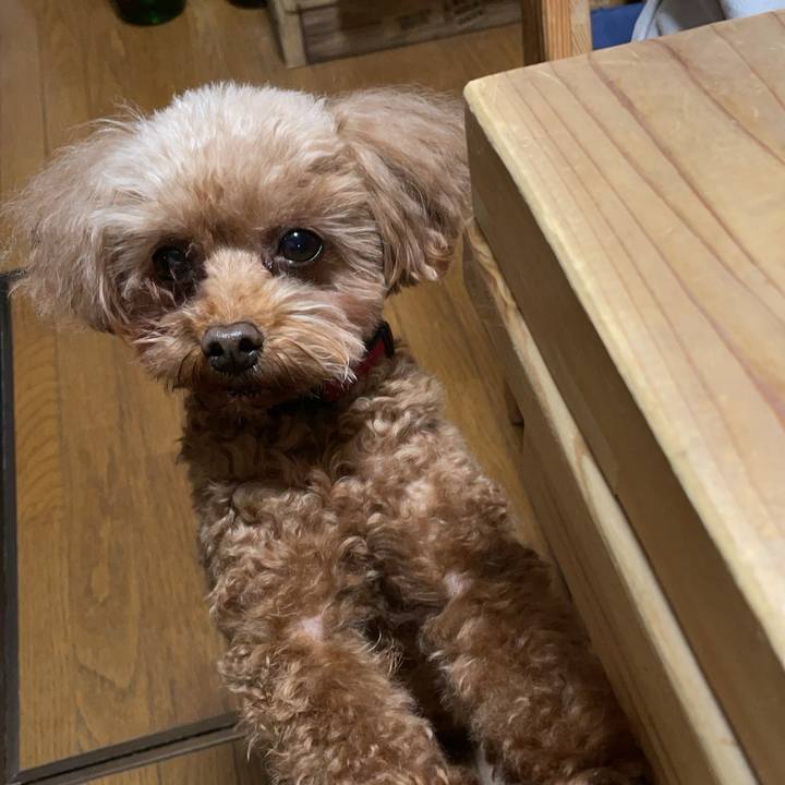 204c40ba 9e52 4198 b620 269f511dec86 1705820925199