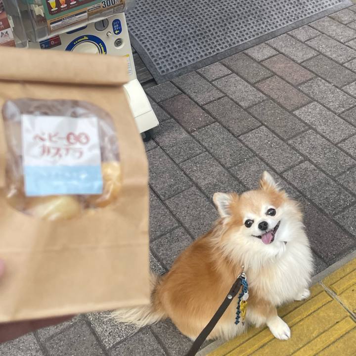 204c41d6 0d1b 4978 a6aa 5178e07082ab 1758527478485