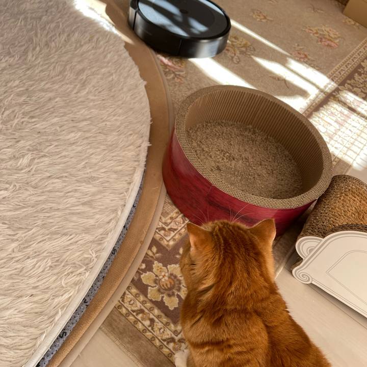 204c582d 635a 4d6e 92a6 24cc5be29e74 1671332497075