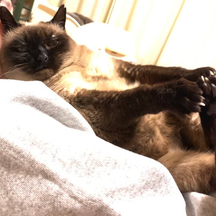 204c97be 1a0d 4242 ba9f 7ac1151ec63f 1560990828954