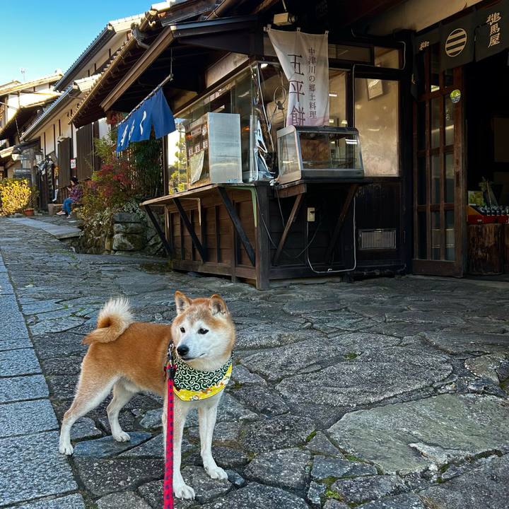 204c9985 cbf6 4999 85d9 43d994f9c1ce 1763710258593