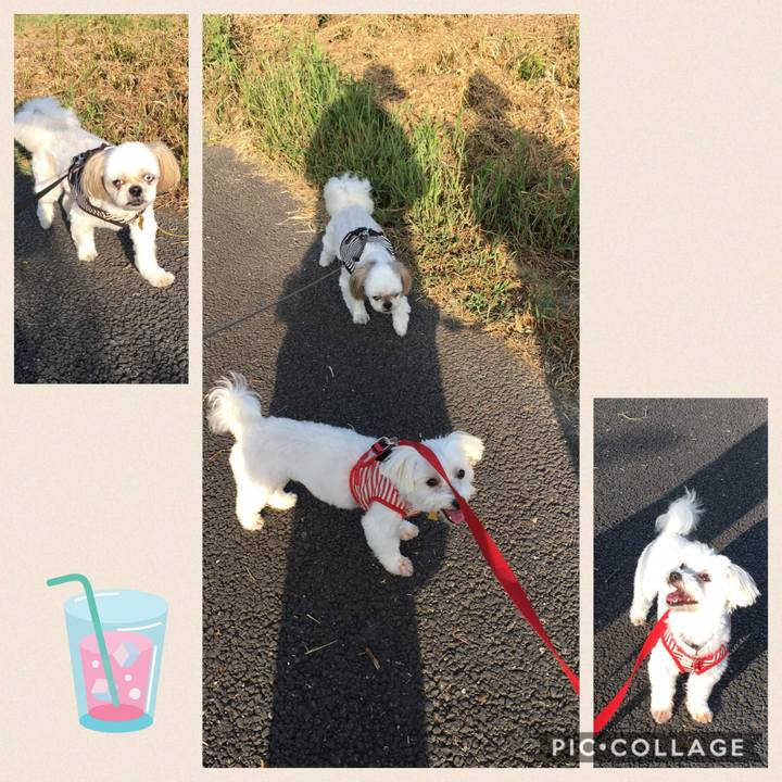 204cabf5 c4a8 4932 bb25 45e47bb270d8 1565567652041