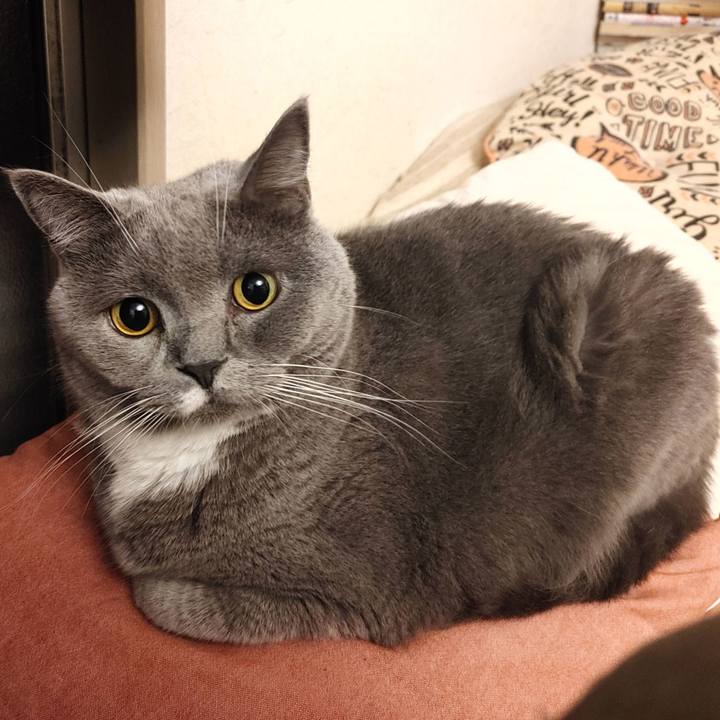 204cc1d4 766f 41c2 9893 eea2febca2ea 1601891054163