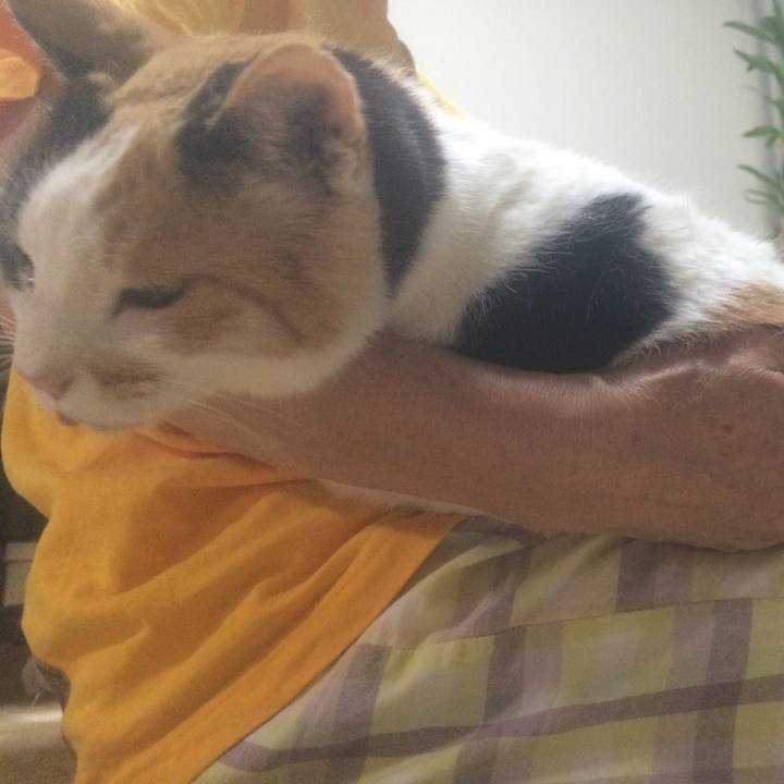 204d00a9 7d15 40cf 9293 58fd5d0742c5 1556119774586