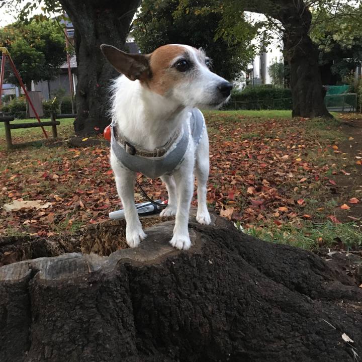 204d6397 a8e6 4cbf 9c01 0d666d36e80c 1604795049550