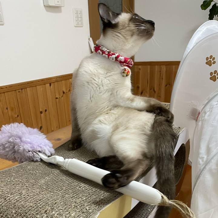 204d7297 a247 45fb 99b6 29927b661e2b 1702682954296