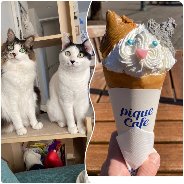 204d9105 4084 4f29 ad0d 225f90aeb34f 1770980947809