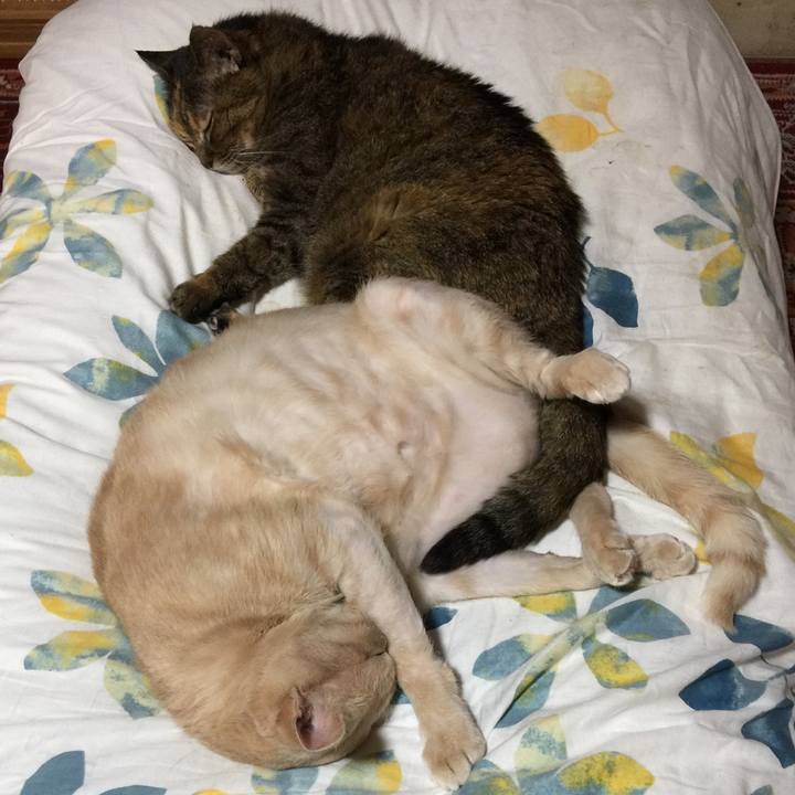 204df4d8 cdda 4042 87ef 4f1b990d7a1d 1655637837042