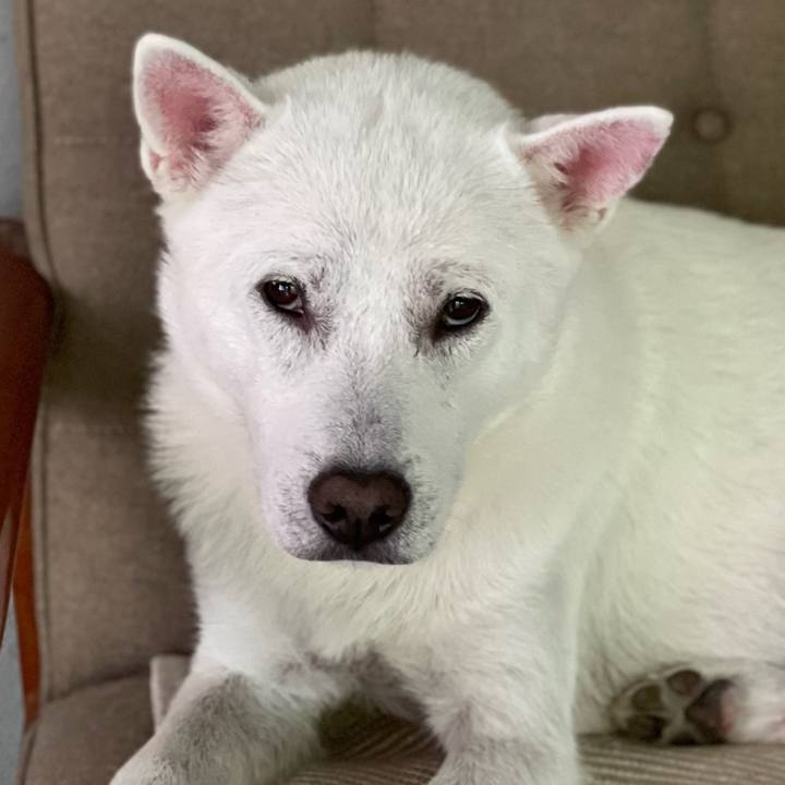 204e0c78 e64e 48e9 be32 c37fca04af31 1664413035651